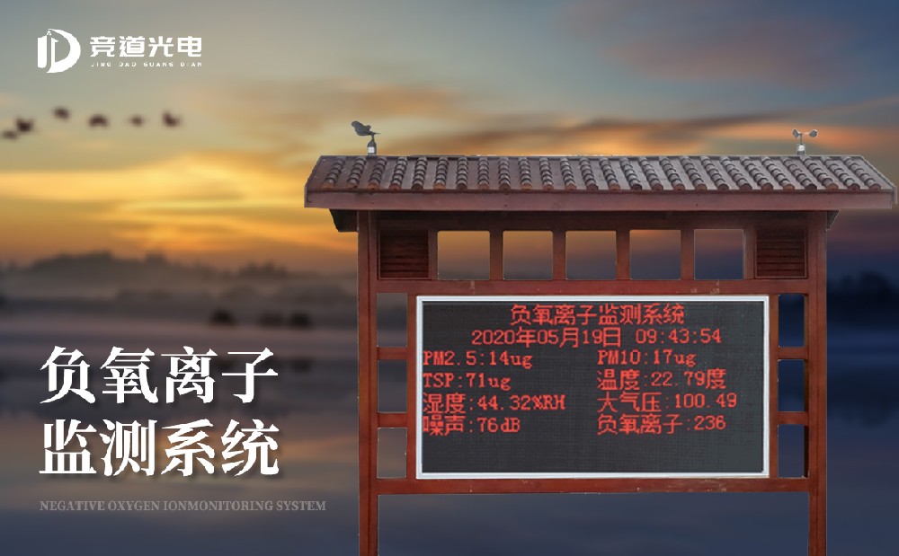 负离子监测体系 负离子监测体系