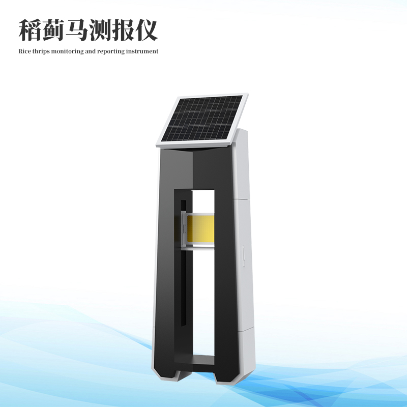 稻蓟马病监测体系