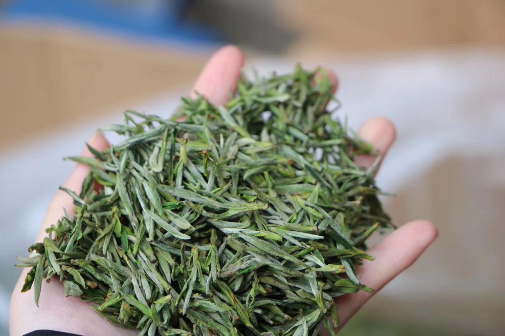  茶园景象形象环境监测体系厂家价钱