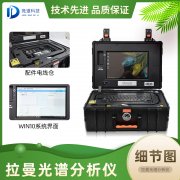 日韩在线免费视频观看便携式拉曼光谱仪